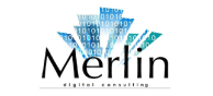 Merlin Digital Consulting